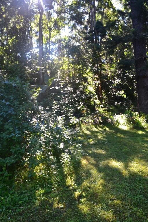 Tuckers Retreat Hotel Canungra Екстериор снимка