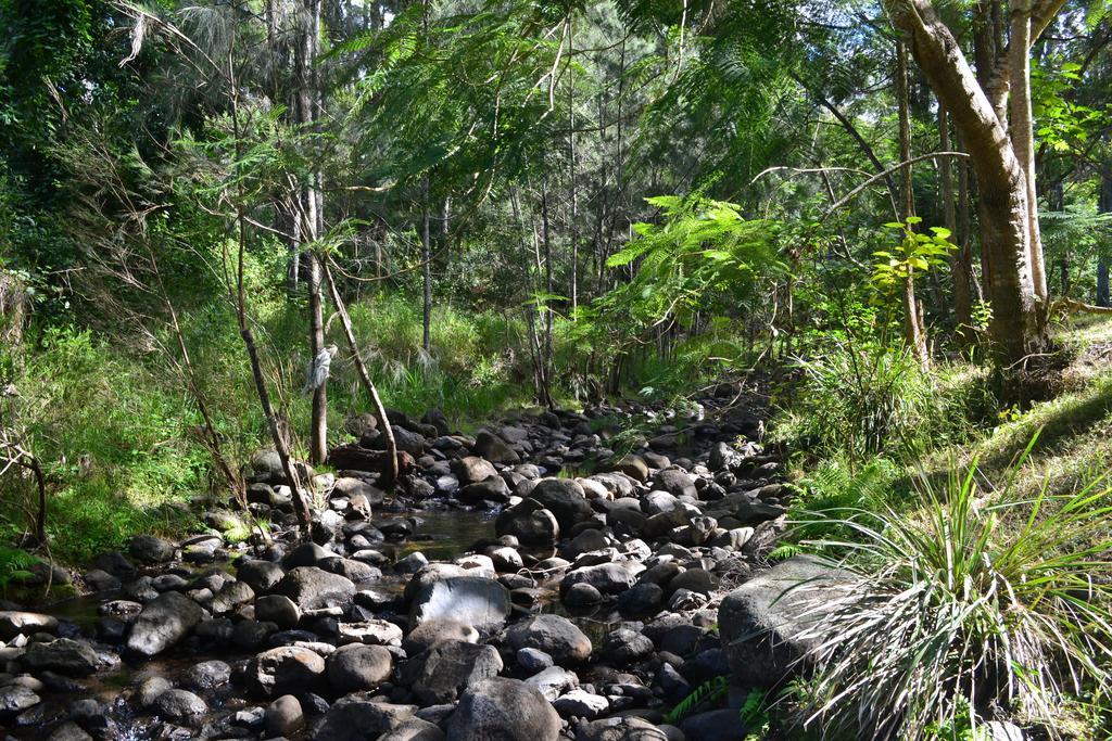 Tuckers Retreat Hotel Canungra Екстериор снимка