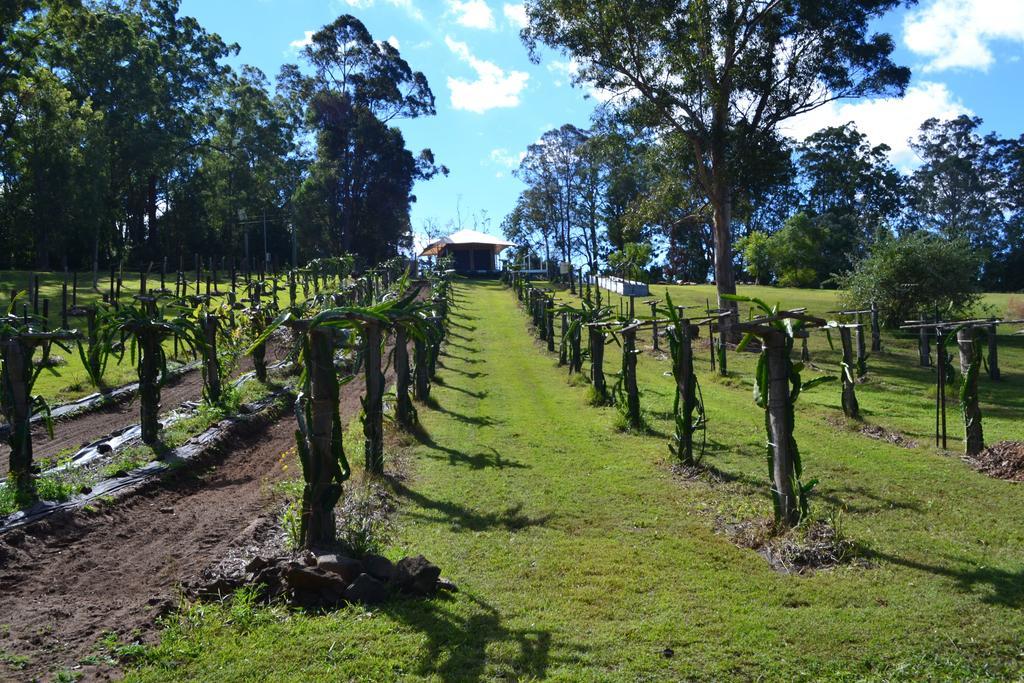 Tuckers Retreat Hotel Canungra Екстериор снимка