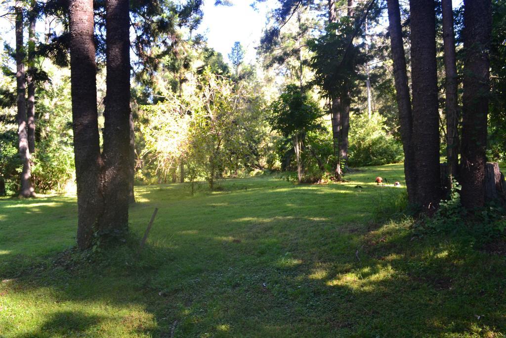 Tuckers Retreat Hotel Canungra Екстериор снимка