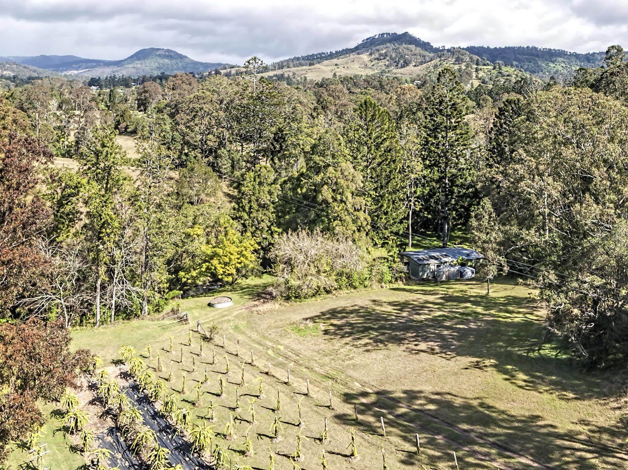 Tuckers Retreat Hotel Canungra Екстериор снимка