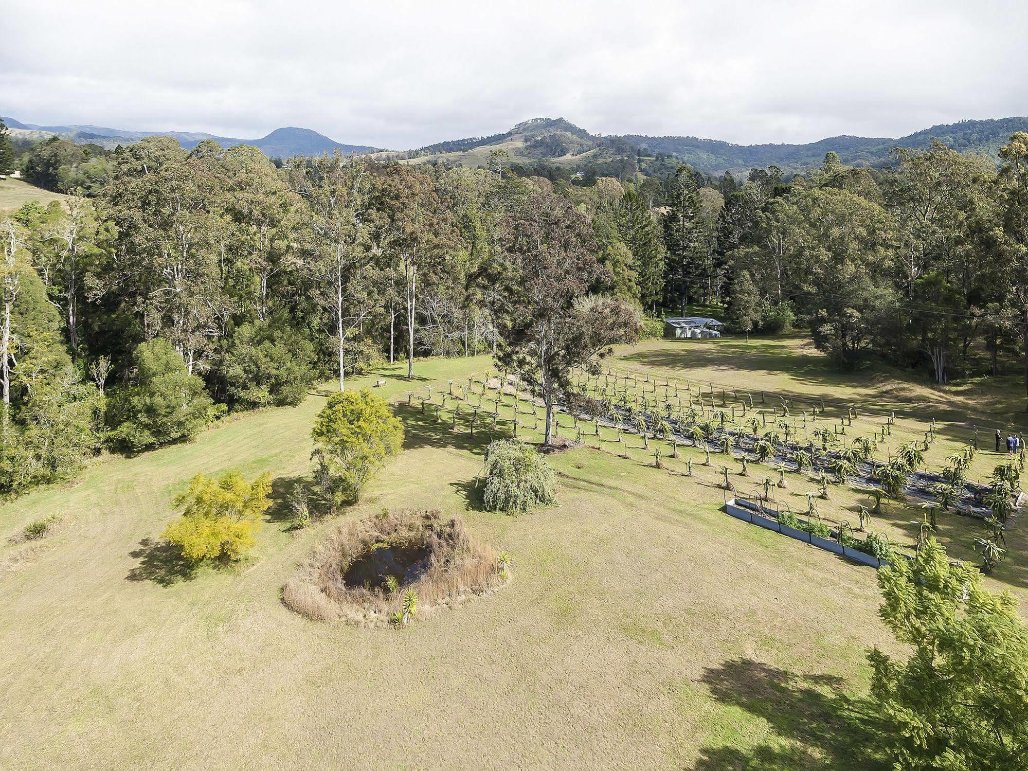 Tuckers Retreat Hotel Canungra Екстериор снимка